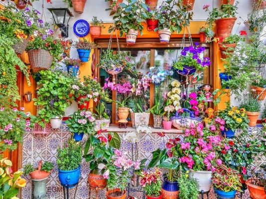 Настаняване по програма Пролет в Кордоба - Фестивалът „Fiesta de los Patios“ от София - 2026