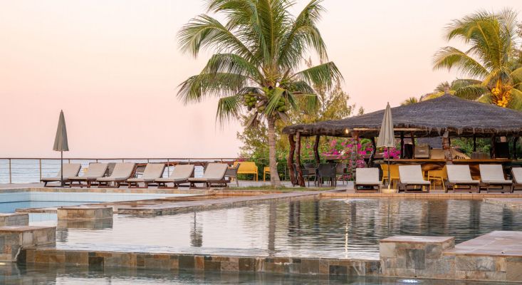 Royal Horizons Baobab