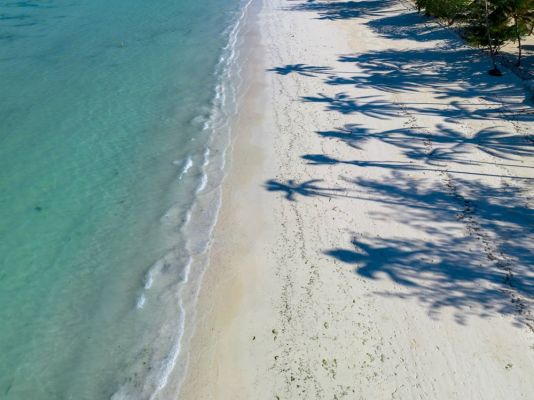 Почивка Занзибар, 16 - 25.10.2026, група с водач