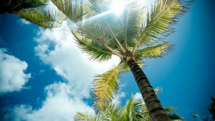 САЩ - Източно и Западно крайбрежиe, с круиз по Бахамите -   10.07.2026, 14.08.2026