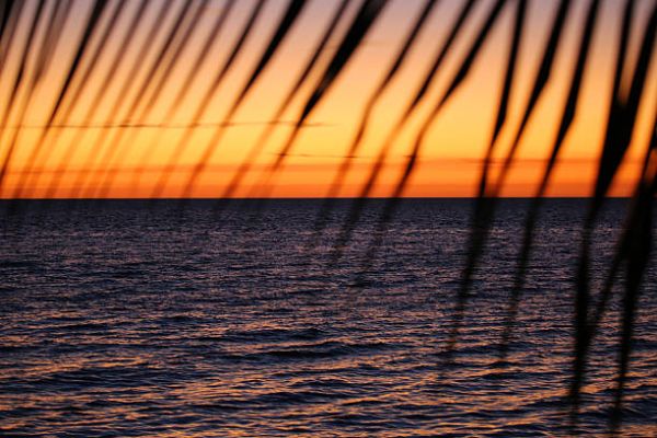 КУБА И ЯМАЙКА- II вар. 16.01.2026, 06.02.2026, 13.03.2026, 08.04.2026, 04.05.2026, 20.11.2026, 08.12.2026