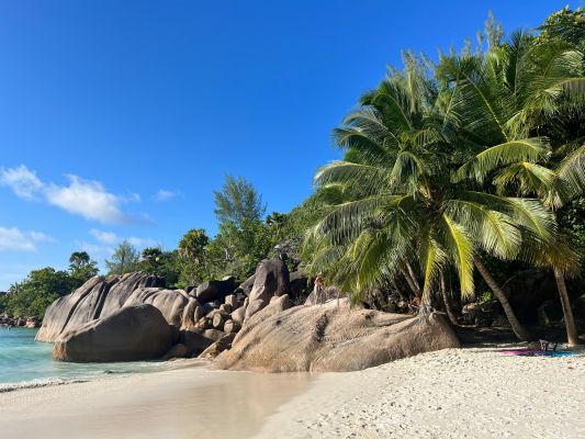 ПОЧИВКА НА СЕЙШЕЛИТЕ 2026